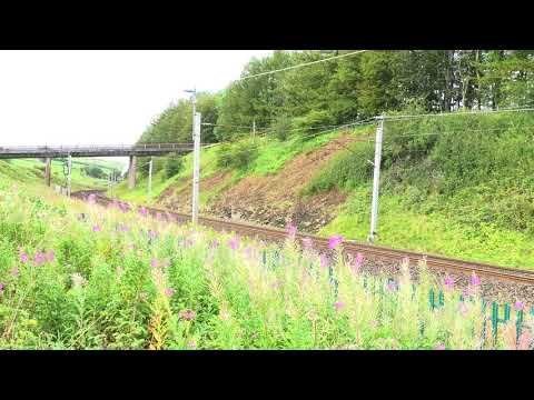 45231 The Sherwood Forester at Grayrigg. 29.8.2020