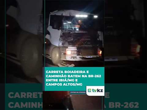 Carreta boiadeira e caminhão batem na BR-262 entre Ibiá/MG e Campos Altos/MG