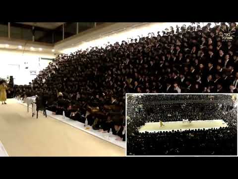 מבטל זיין אלע גזירות און געהאלפן ווערן מיט אלע ישועות בזכות הייליגע בת עין זי"ע! הרב אלימלך בידרמן