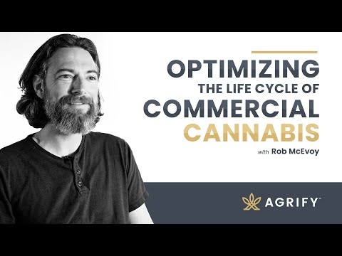 Optimizing The Life Cycle of Commercial Cannabis