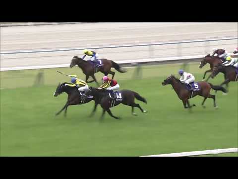 2020 Tenno Sho-Spring (G1)