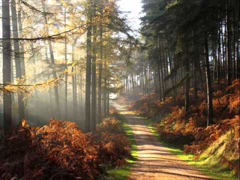 Emotional Horizons - Autumn (Orana Project Remix)
