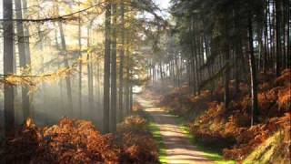 Emotional Horizons - Autumn (Orana Project Remix)