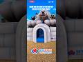 Polar Bear XL Double Slide Rentals Scan The QR Code To See It In Your Backyard Polarbearslide