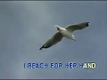 Andy Williams Where Do I Begin Love Story Videoke