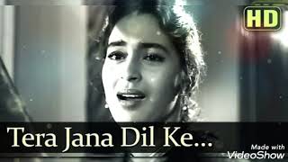 Download lagu Tera Jana Dil Ke.. song by Raj Kapoor Nutan Anari Lata Mangeshkar Evergreen Hindi song mp3 Download lagu Tera Jana Dil Ke.. song by Raj Kapoor Nutan Anari Lata Mangeshkar Evergreen Hindi song mp3