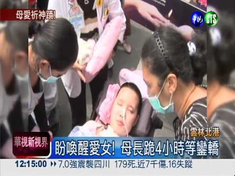 愛女車禍昏迷 母鑽轎底淚求神蹟