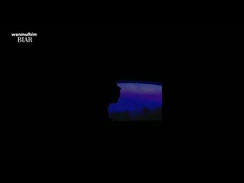 Wan Mulhim-Biar(Lirik Video)