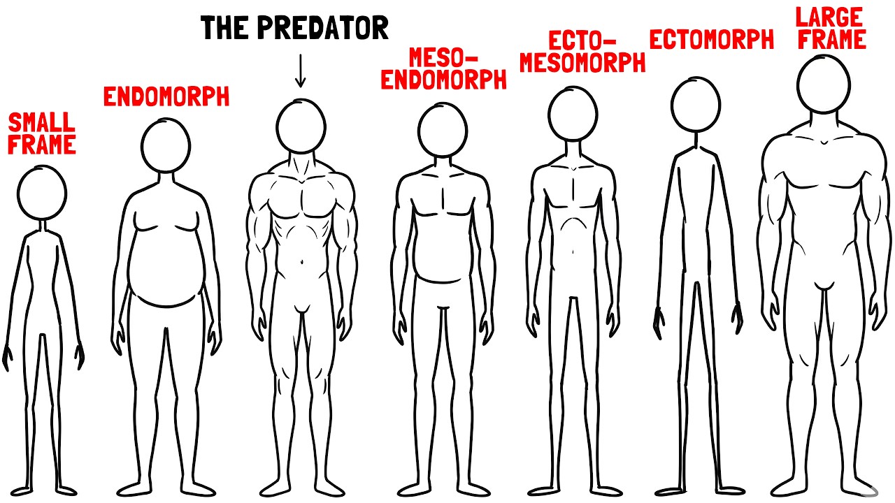 What Your Body Type Reveals About You