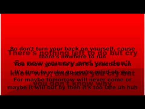 Rebelution- Heart like a lion