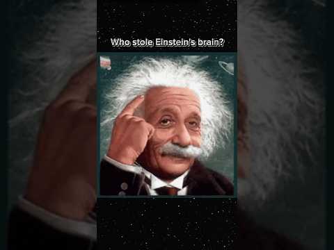 Einestein ന്റെ brain മോഷ്ടിച്ചതാര്😯