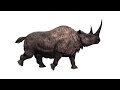 Woolly Rhinoceros Sounds