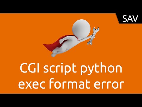 Learn Sav Cgi Script Python Exec Format Error - Mind Luster