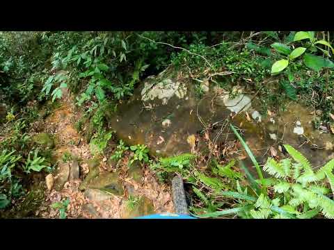 cover-youtube