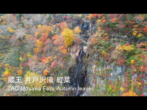 [4K] 🍁🚁 蔵王の幻の滝・井戸沢滝の紅葉空撮 / Autumn Aerial Views of Idosawa Falls in Zao 🍂🏔️