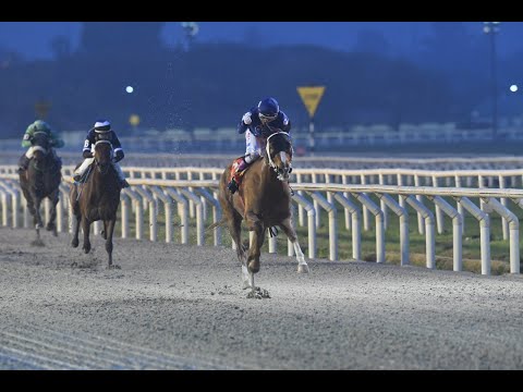 Gran Premio Polla de Potrancas (G3) (Uru) - La Firmante