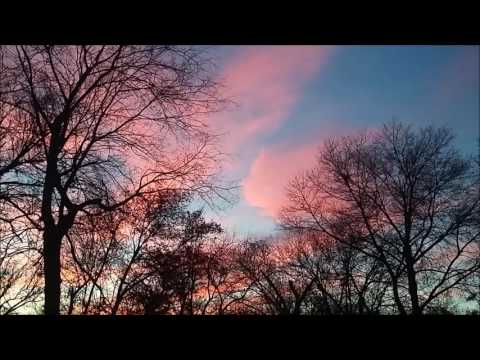 the slowest man alive - doddleoddle (audio)