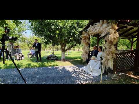 Andrei Stoian - Dintre toate florile albastre