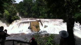 preview picture of video 'Cascadas de Agua Azul - 4'