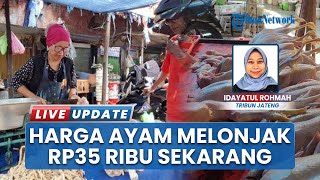Setelah Anjlok susai Lebaran, Kini Harga Ayam Potong di Kota Semarang Naik Jadi Rp35.000 per Kg