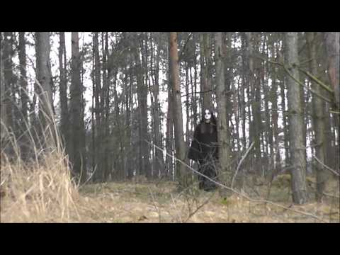 Patryk Pietrasiak - IV