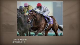 【個人用？】ウイニングポスト10 2025　新ヒストリア（2024年側）