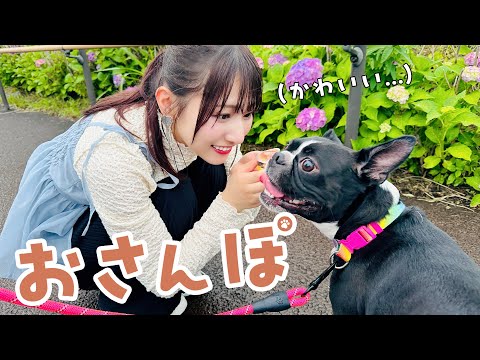 DOG&CAT JOKER二子玉川 -AVENUE&CARE-
