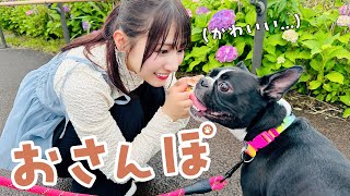 DOG&CAT JOKER二子玉川 -AVENUE&CARE-