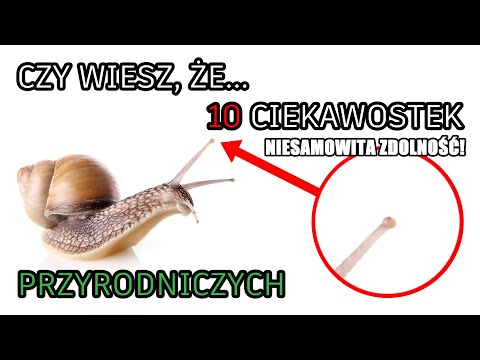 10 ciekawostek przyrodniczych. Czy wiesz że?... Część.3