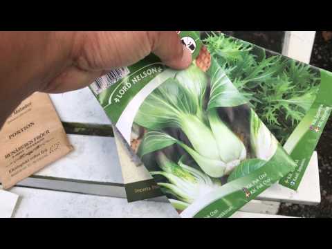 Augustisådder - allt det här kan du så i augusti -9 saker jag sår nu och hur och för skörd i år