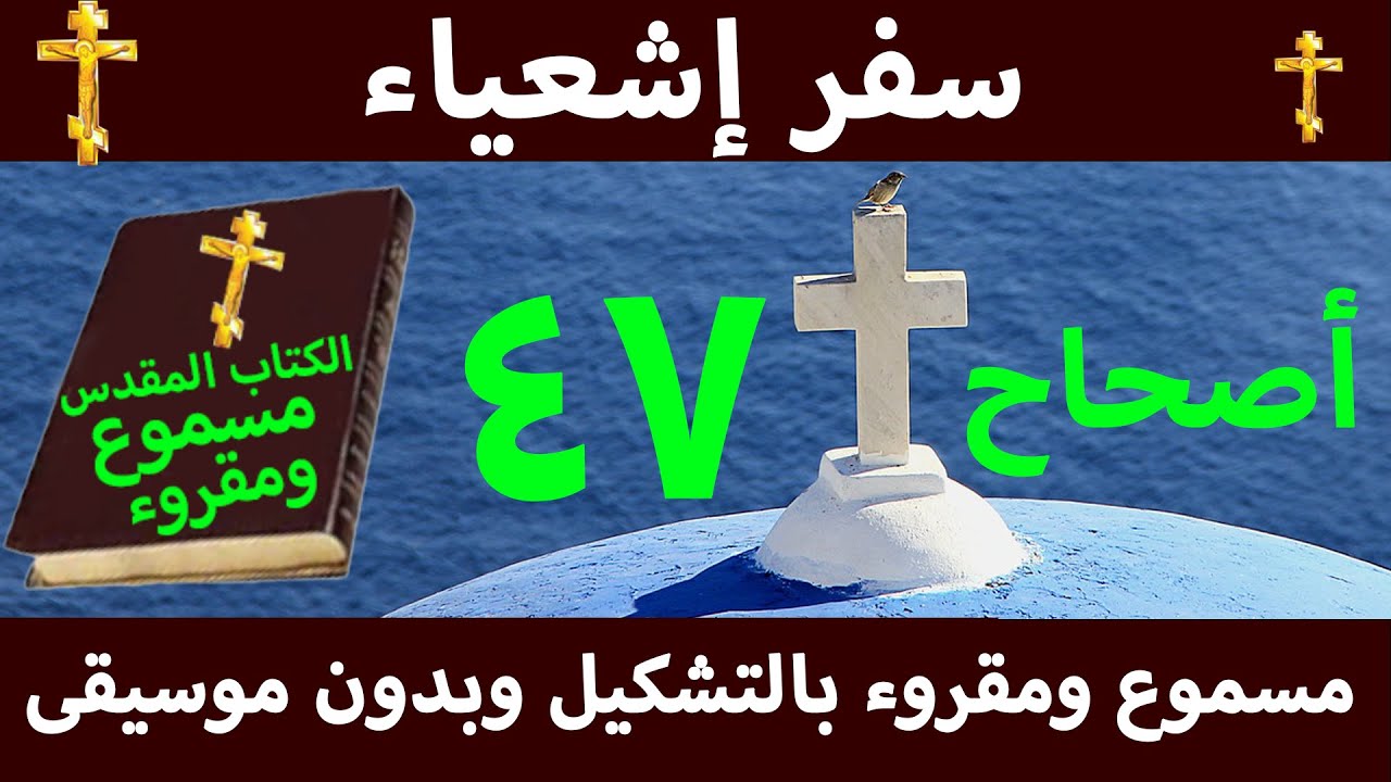فيديو تفسير الكتاب المقدس | الكتاب المقدس رفيقي
