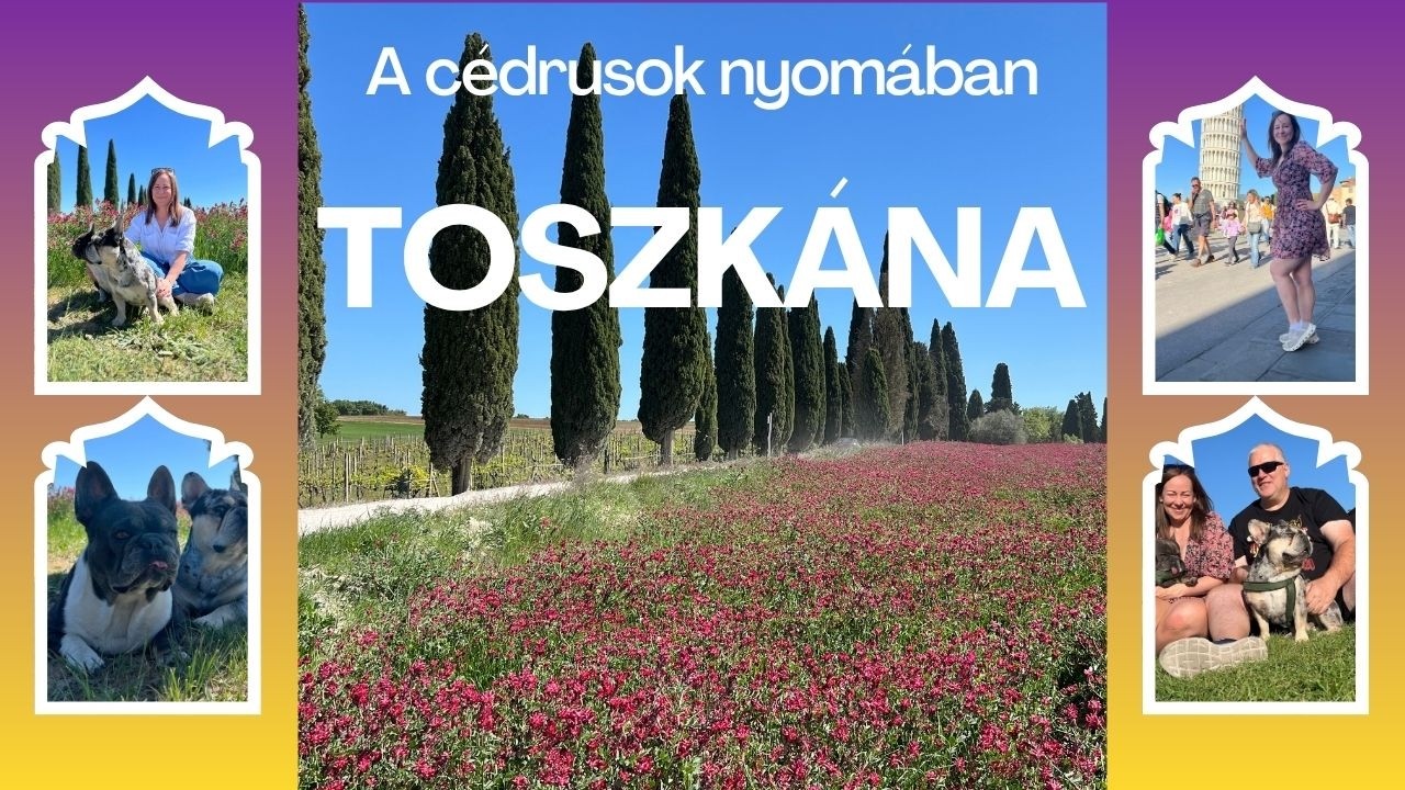 TOSZKÁNA / AZ OLASZ CÉDRUSOK NYOMÁBAN // Pufi és Nyufi kalandjai
