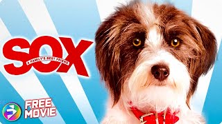 SOX: A FAMILY'S BEST FRIEND | Family Dog Adventure | Free Full Movie