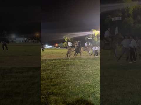 jineteada en entre rios rosario del tala