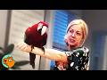 27 Year Old Macaw Was Thrown Between Homes Until Meeting HER Cuddle Buddies