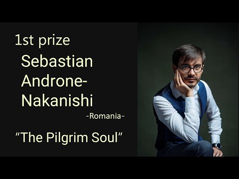 "The Pilgrim Soul" Sebastian Androne-Nakanishi【ICCC2020 1st prize】