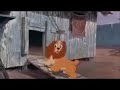 Lady And The Tramp 1955 Ever Chase Chickens Scene Sparta Remix Extended