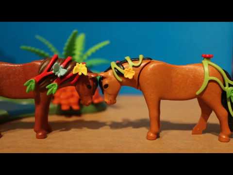 Présentation de Belle et Spéculoos