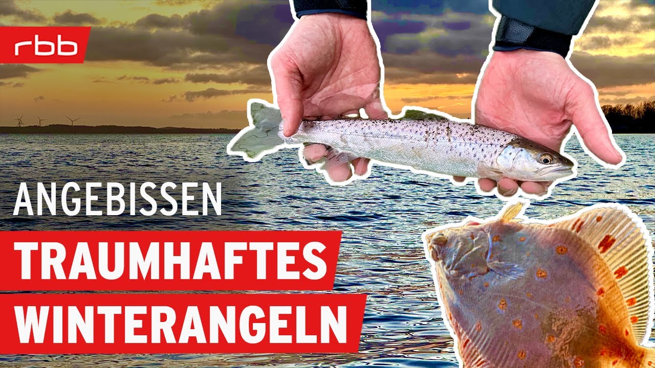 So fangt Ihr Plattfische und Meerforellen | #192 | Angelpodcast