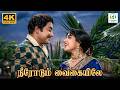 Neerodum Vaigaiyile Paar Magaley Paar TM Soundararajan P Susheela Kannadasan 4K Video Song