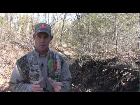 Bobcat Day Time Set-up