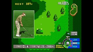 Zone 40 Game: Golf (2008)