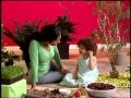 Sesame Beginnings 1 Ingles