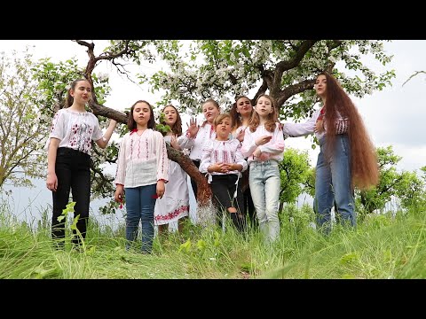Un copac cu flori (cover) - Clubul de Canto Noblesse