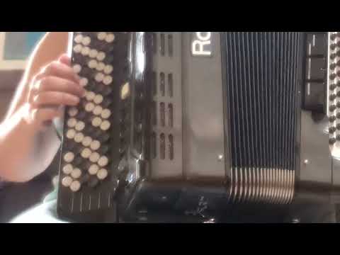 French waltz bayan accordion