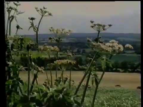 Liam O' Flynn and Seamus Ennis. Doco Extract 1981