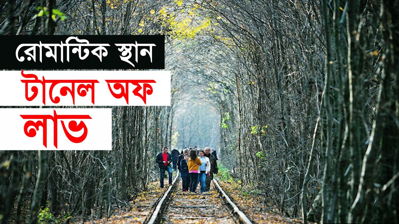 বিশ্বের অন্যতম রোমান্টিক স্থান টানেল অফ লাভ | World Best Romantic Place “Tunnel Of Love"