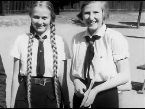 Sturmwehr - Vaterland