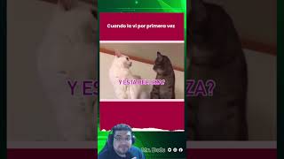 cuando la vi por primera vez #enamorado #primeravez #viral #humor #gatos #risa #romeo