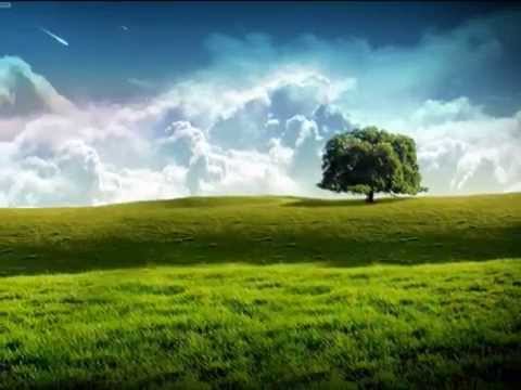 Francisco Canaro - Adiós, pampa mía